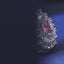 SOLID GOLD LAB-GROWN VVS FANCY VIVID PINK DIAMOND & DIAMOND RING (#:SY027P-R)